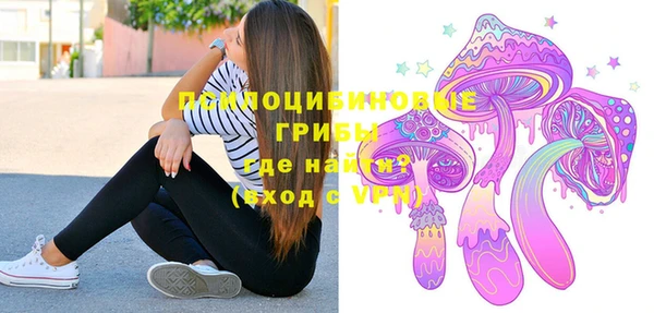 мдпв Александровское