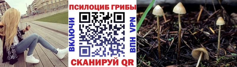 Галлюциногенные грибы MAGIC MUSHROOMS  Купить закладки  Пересвет 